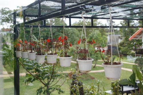 Hoang Dinh Homestay