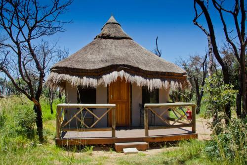 Lodge Entabeni Safari Conservancy