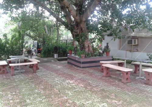 Hotel Mpt Holiday Homes, Amarkantak