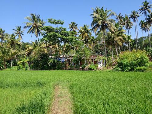 Hotel Thathamma Homestay