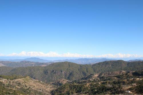 Hotel Nest And Hives Motiapathar/mukteshwar