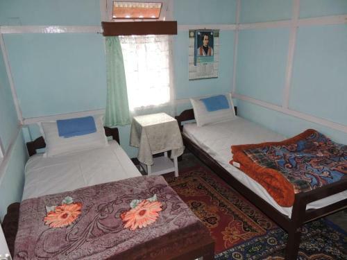 Vamoosetrail Ziro