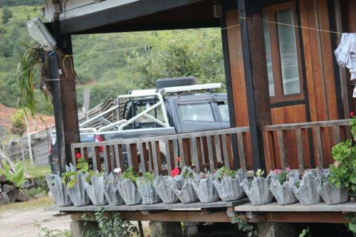 Vamoosetrail Ziro