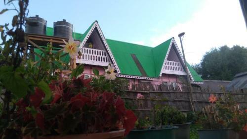 Vamoosetrail Ziro
