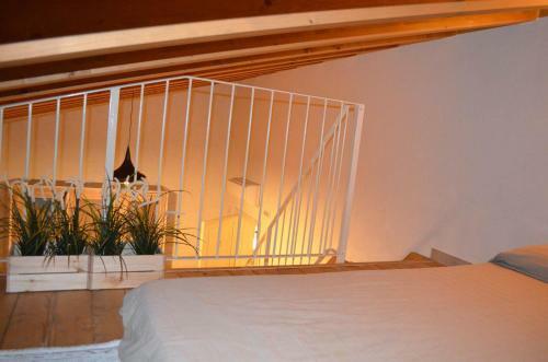 Agroturismo Colle Del Giglio