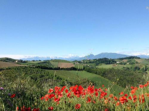 Agroturismo Colle Del Giglio