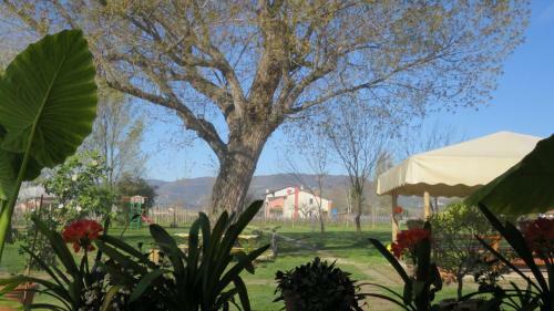 Agroturismo Agriturismo L'albara