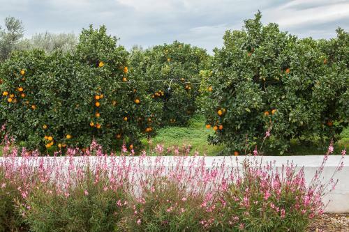 Bed & Breakfast Le Stanze Di Mel�