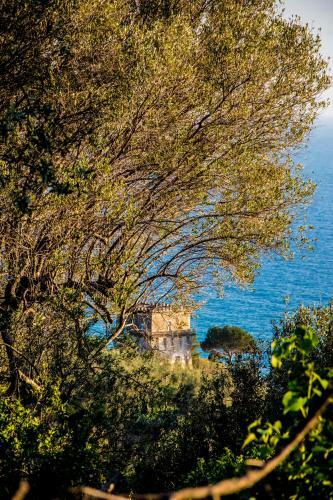 Apartamento L'alitra E L'agre