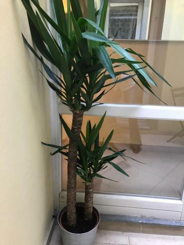 Apartamento Alloggio In Borgo Stretto