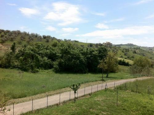 Holiday Home In Picciano With Swimming Pool