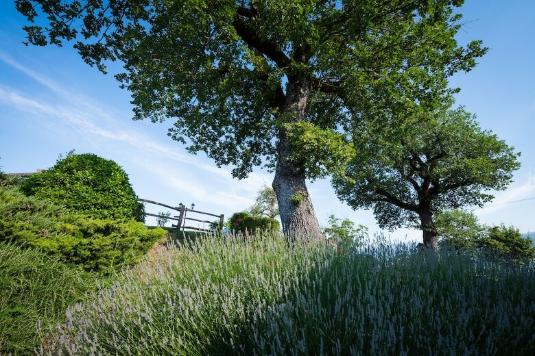Agroturismo Poggio A Poppi