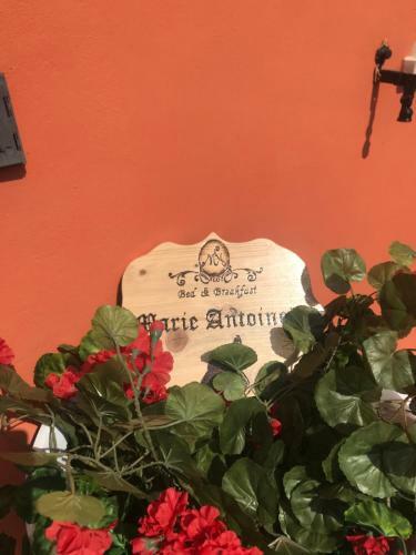 Apartamento Marie Antoinette