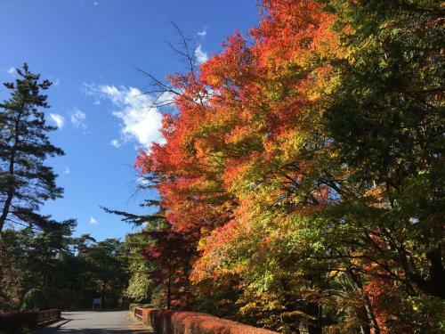 Hotel Nikko Toshogu Koyoen