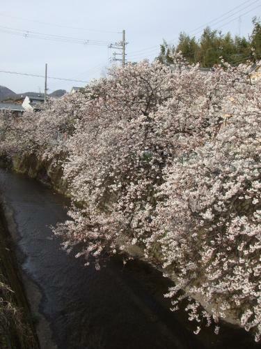 Hostal Kyoto Narutaki Keisenso