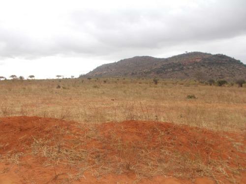 Sagala Lodge
