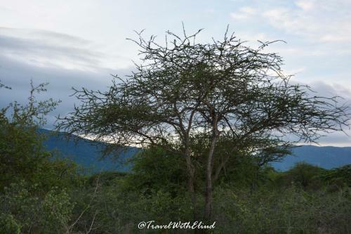 Sagala Lodge