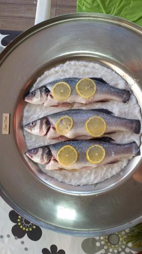 Apartment Carpe Diem 1