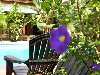 Hotel Posada 21 Oranges
