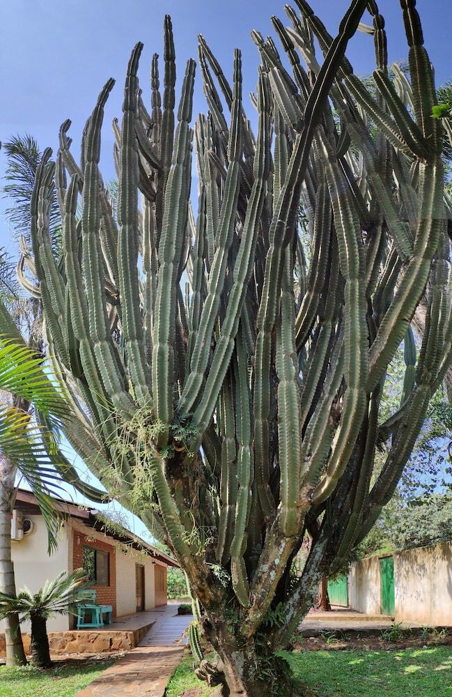 Hotel Posada 21 Oranges