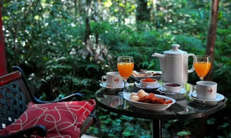Yvy Hotel De Selva