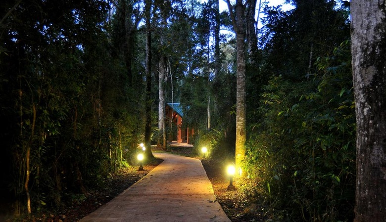 Yvy Hotel De Selva
