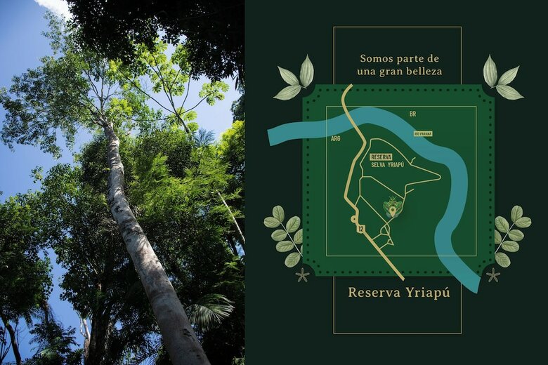 Yvy Hotel De Selva