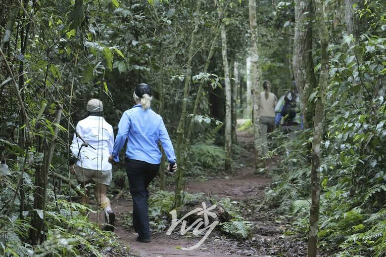 Yvy Hotel De Selva