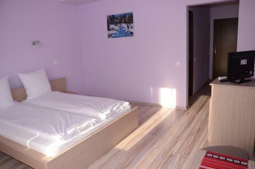 Hostal Pensiunea Laleaua Pestrita