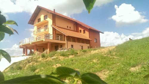Hostal Pensiunea Laleaua Pestrita