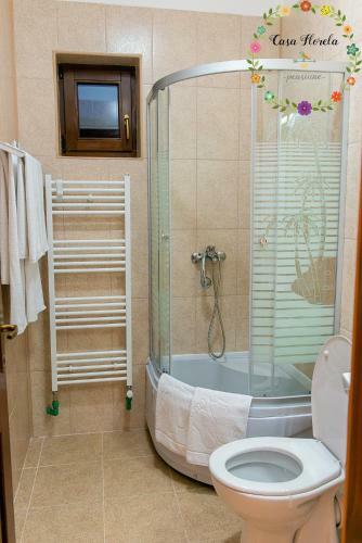Hostal Pensiunea Casa Florela