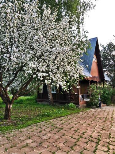 Hotel Ok - Reka