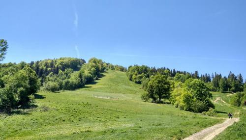 Agroturismo Cottage Kurshevel