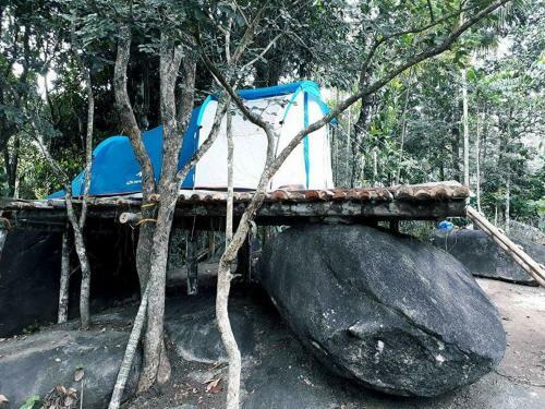 Evergreen Tent Stay & Trekking