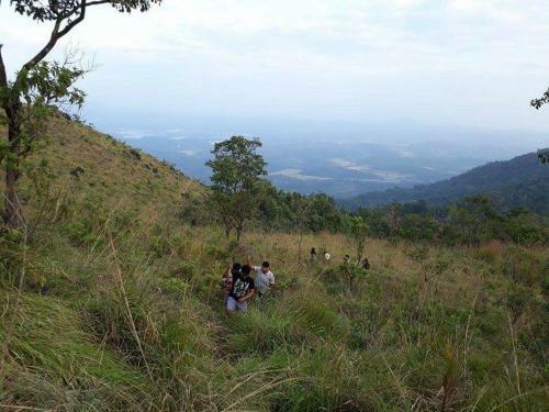 Evergreen Tent Stay & Trekking