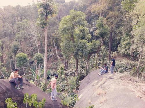 Evergreen Tent Stay & Trekking