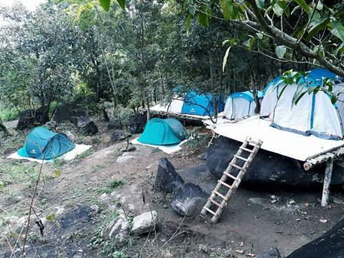 Evergreen Tent Stay & Trekking
