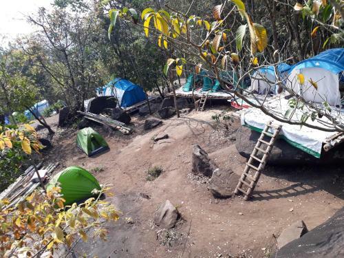 Evergreen Tent Stay & Trekking