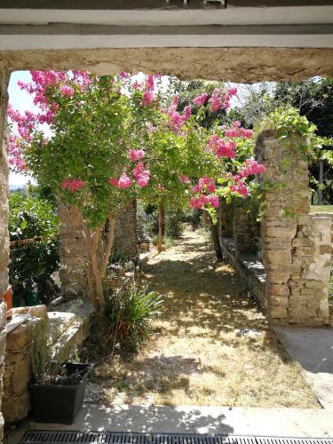 Apartamento Casancestrale 1828
