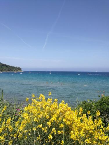 Apartamento Casancestrale 1828
