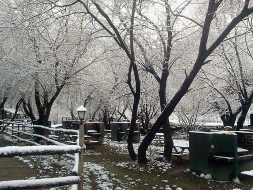 Camping Y Hostal El Ovejero