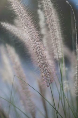 Bed & Breakfast Hotel Las Chirimoyas