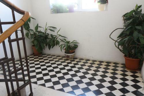 Apartments Antonia