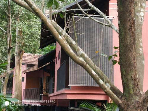 Villa Honeyrock Resorts