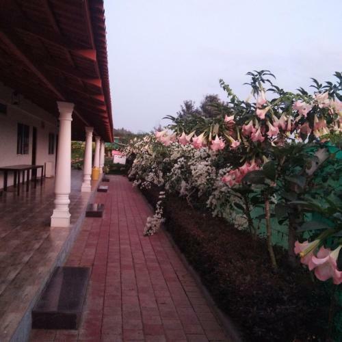 Bougainvillea Homestay