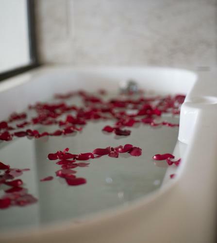 Hotel Polo Orchid Resort