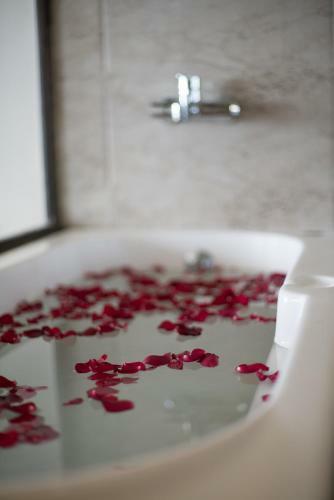 Hotel Polo Orchid Resort