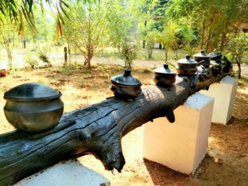 Hotel Royal Bamhni Holiday Resort