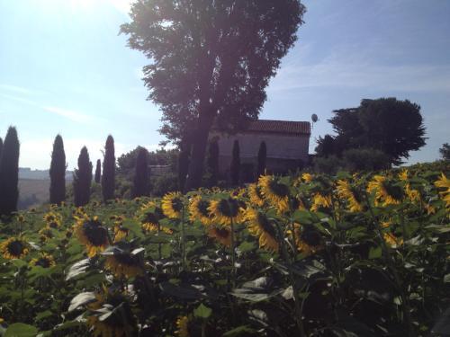 Tenuta-paradiso Panoramaloft