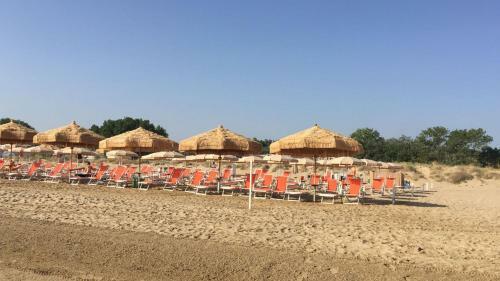 Agroturismo L'ulivo Bianco